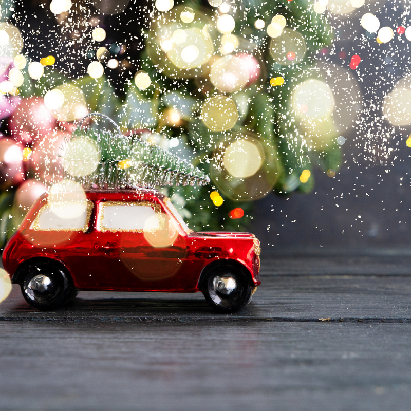 Christmas Giftings - Shimnick